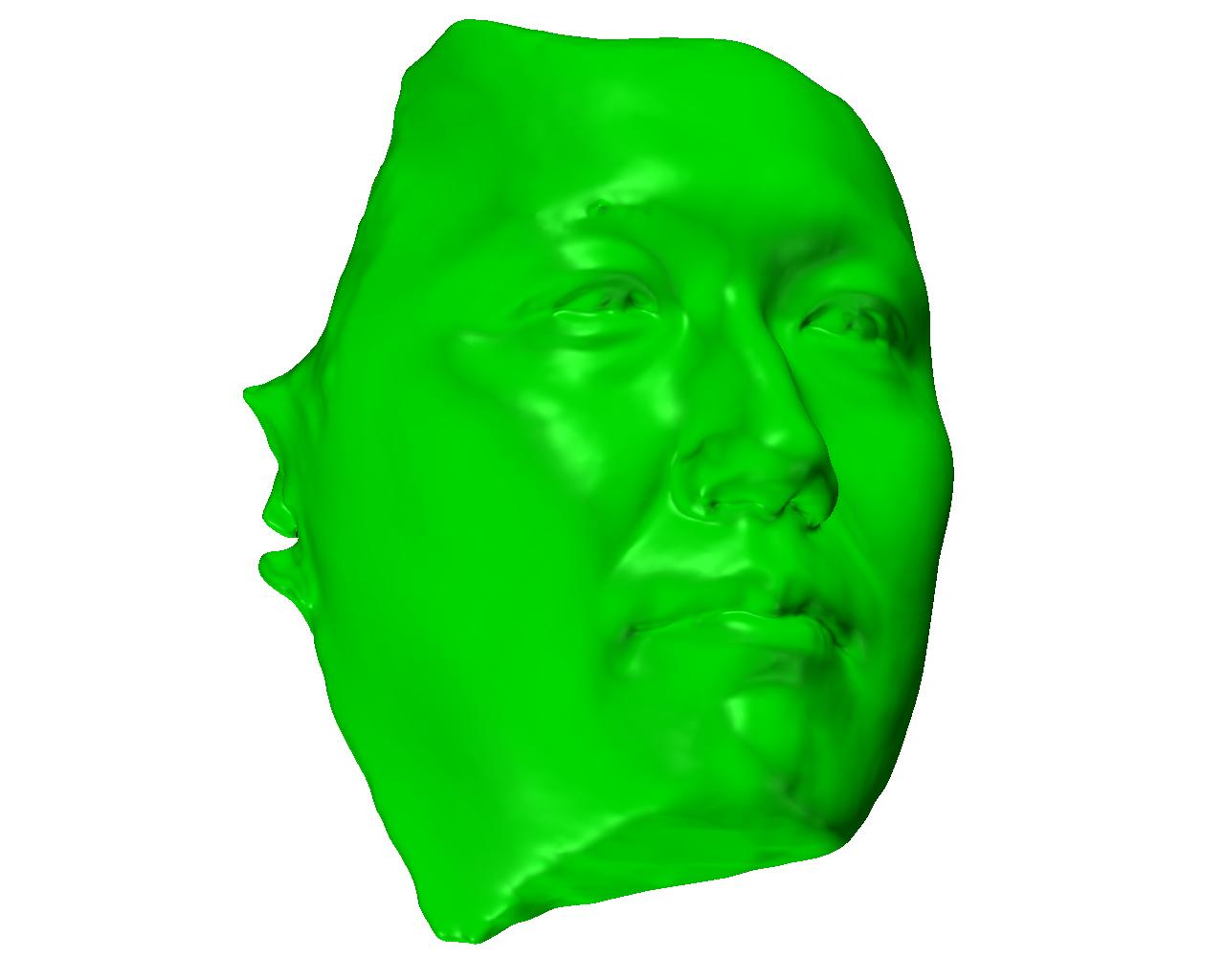 3D scanning sample face