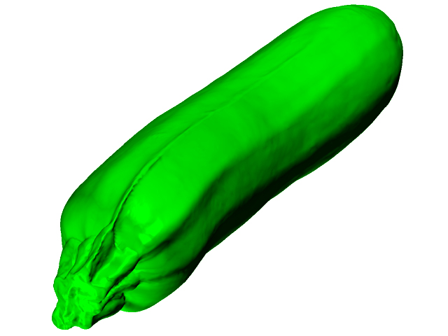 3D scanning sample zucchini
